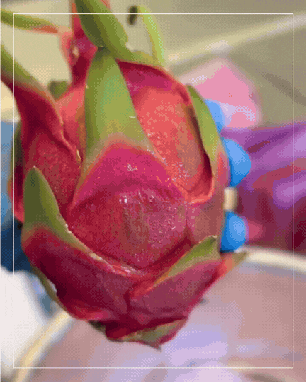 Dragonfruit Electrolytes